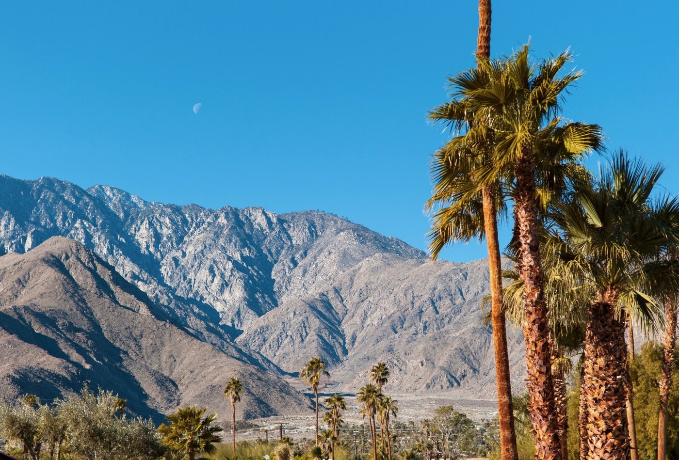 Palm trees and the San Jacinto Mountains in the Coachella Valley