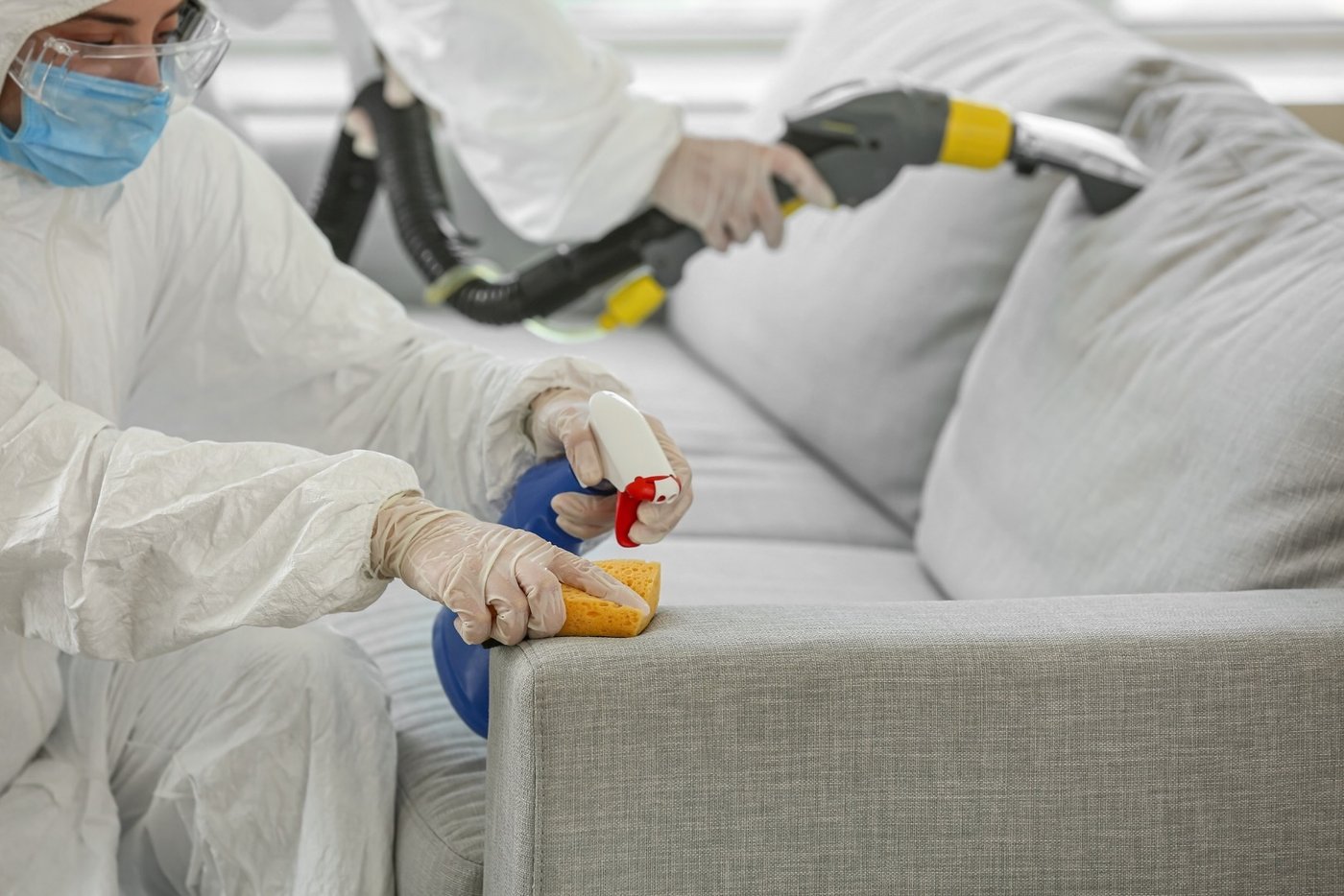 Technicians carefully cleaning upholstered furniture